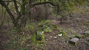 2016.10 Zahájení revitalizace zdevastovaného hřbitova ve Svatoboru 03   