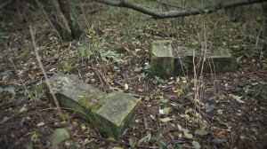 2016.10 Zahájení revitalizace zdevastovaného hřbitova ve Svatoboru 04   