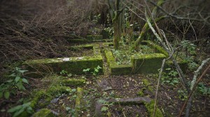 2016.10 Zahájení revitalizace zdevastovaného hřbitova ve Svatoboru 06   