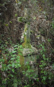 2016.10 Zahájení revitalizace zdevastovaného hřbitova ve Svatoboru 07   