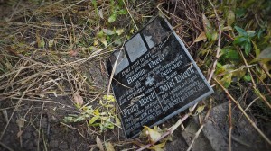 2016.10 Zahájení revitalizace zdevastovaného hřbitova ve Svatoboru 13  