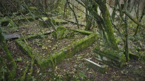 2016.10 Zahájení revitalizace zdevastovaného hřbitova ve Svatoboru 17  