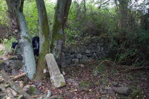 2016.10 Zahájení revitalizace zdevastovaného hřbitova ve Svatoboru 25  